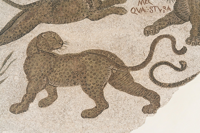 Musée du Bardo-093